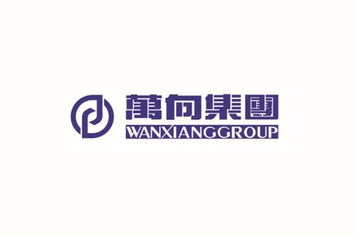 萬向集團(tuán)